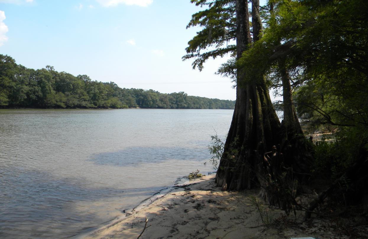 Destin, in the Panhandle of Florida, Fishing the Creeks and Rivers